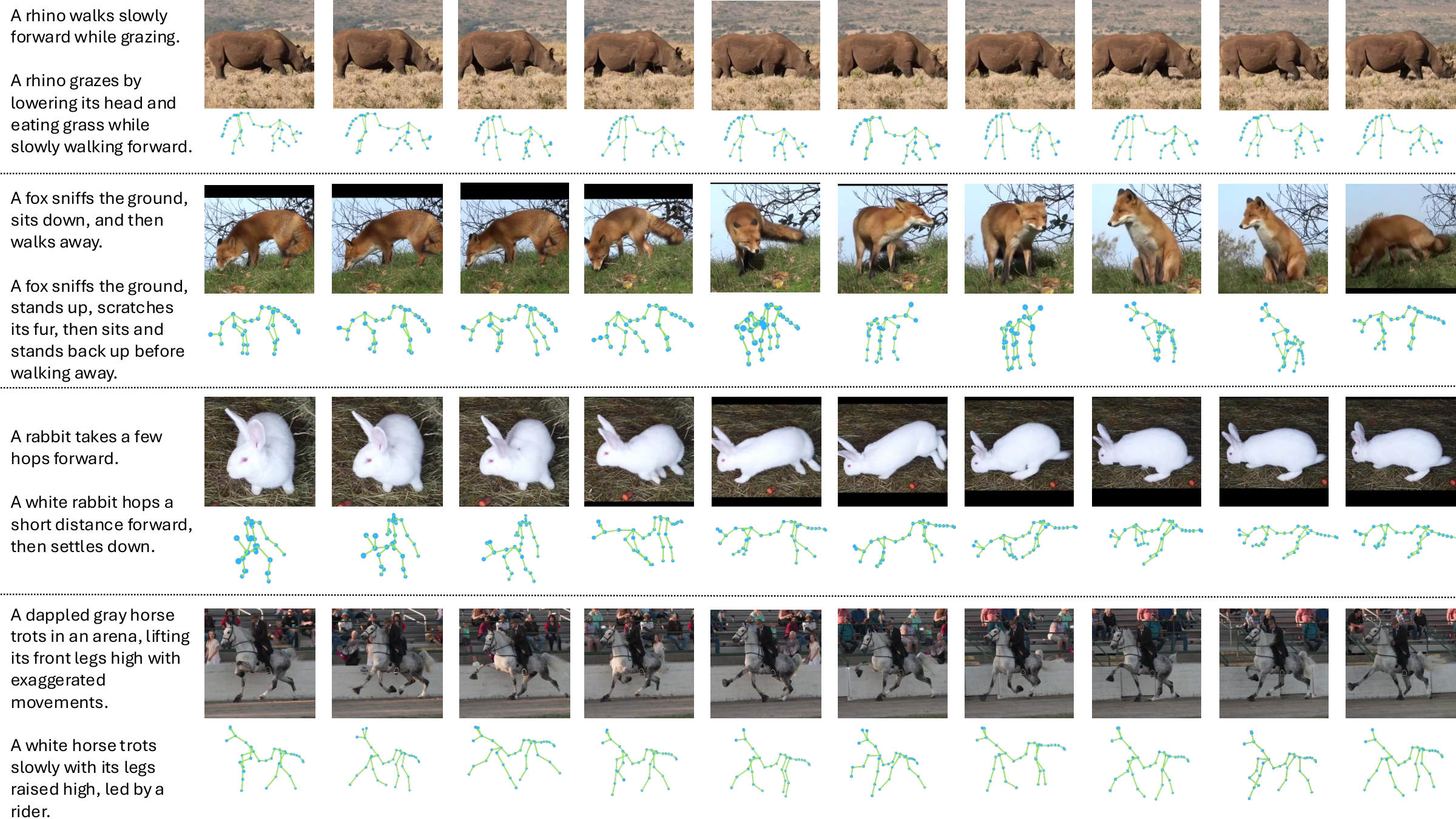 AiM3D data examples — captions, video frames and reconstructed motion